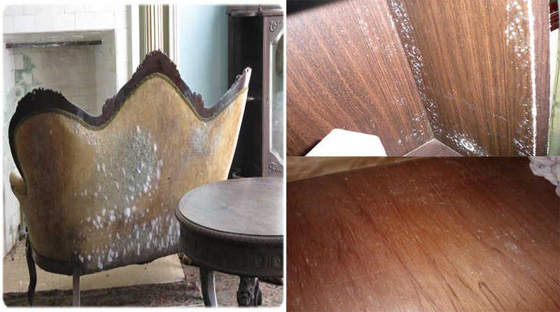 Cách bảo quản tủ quần áo gỗ để luôn bền đẹp trong khí hậu Bình Phước